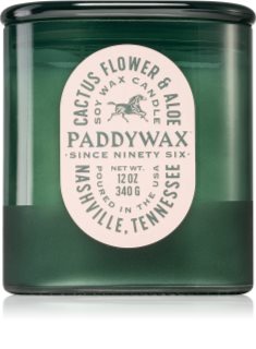 Paddywax Vista Cactus Flower & Aloe vonná sviečka 340 g