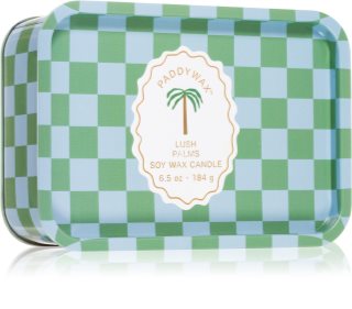 Paddywax A Dopo Palm Duftkerze 184 g