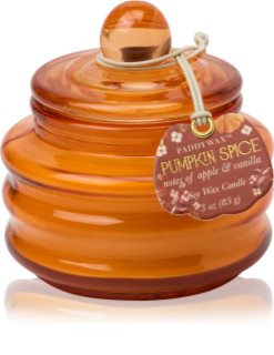 Paddywax Pumpkin Spice scented candle 58 g