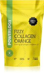 Powerlogy Fizzy Collagen Getränk mit Kollagen Geschmack Orange 300 g