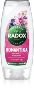 Radox Romantic Orchid & Blueberry nježna krema za tuširanje 250 ml
