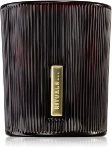 Rituals The Ritual Of Ayurveda candela profumata 290 g
