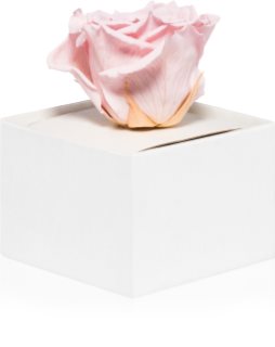 RoseAmor Pink stabilizowana róża w pudełku 1 szt.