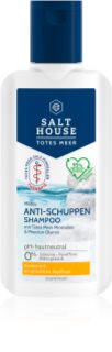 Salt House Dead Sea Therapy Anti-dandruff Shampoo Shampoo gegen Schuppen 250 ml