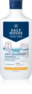 Salt House Dead Sea Therapy Anti-dandruff Shampoo hilsettä ehkäisevä shampoo 250 ml