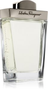 Ferragamo Pour Homme Eau de Toilette pour homme 100 ml