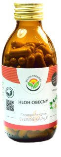 Salvia Paradise Hloh obecný bylinné kapsle kapsuly na podporu činnosti nervovej sústavy 120 cps