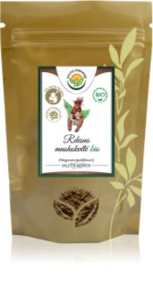 Salvia Paradise Rdesno mnohokvěté kořen mletý BIO prášek pro detoxikaci organismu a podporu imunity 150 g