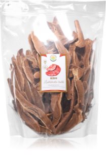 Salvia Paradise Lesklokorka lesklá Reishi plátky sušených hub houby 500 g