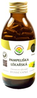 Salvia Paradise Pampeliška lékařská bylinné kapsle kapsle pro podporu trávení 120 cps