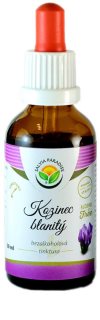 Salvia Paradise Kozinec blanitý bezalkoholová tinktura tinktura pro podporu imunitního systému 50 ml