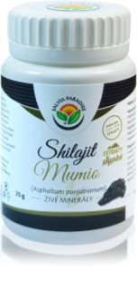 Salvia Paradise Shilajit Mumio prášek pro udržení vitality 25 g