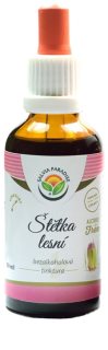Salvia Paradise Šťaveľ lesný bezalkoholová tinktura tinktúra na podporu imunitného systému 50 ml
