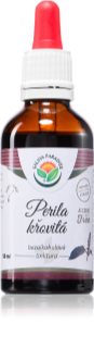 Salvia Paradise Perila křovitá AF tinktura pro normální funkci dýchacího systému 50 ml