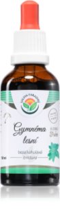Salvia Paradise Gymnéma lesní tinktura tinktúra na udržanie normálnej hladiny cukru v krvi 50 ml