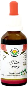 Salvia Paradise Hloh obecný bezalkoholová tinktura bylinná tinktúra na podporu činnosti nervovej sústavy 50 ml