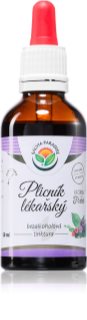 Salvia Paradise Plicník lékařský tinktura pro normální funkci dýchacího systému 50 ml