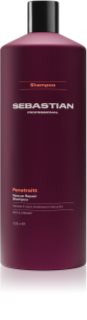 Sebastian Professional Penetraitt Shampoo für beschädigtes, chemisch behandeltes Haar