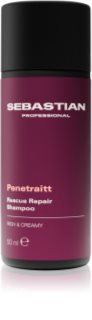 Sebastian Professional Penetraitt šampon pro poškozené, chemicky ošetřené vlasy