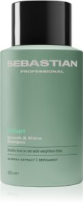 Sebastian Professional Volupt Shampoo für mehr Haarvolumen 280 ml