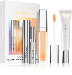 Sigma Beauty Lip Care Trio set (za usne)