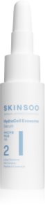 SKINSOO HydraCell Exosome Serum Hydraterende Gezichtsserum 10 ml