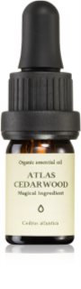 Smells Like Spells Essential Oil Atlas Cedarwood aroma a óleos essenciais 5 ml