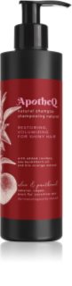 Soaphoria ApotheQ Aloe & Panthenol champô para cabelo brilhante e macio 250 ml