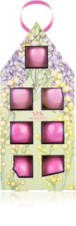 Spa Moments Sweet Pea poreilevat kylpypommit