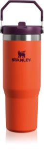 Stanley IceFlow™ Flip Straw Tumbler garrafa de água de aço inoxidável