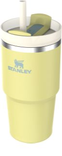 Stanley Quencher H2.O FlowState™ Tumbler kubek ze stali nierdzewnej ze słomką mały