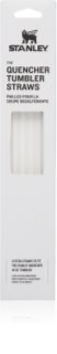 Stanley The Quencher Tumbler Straws replacement straw 1180 ml 4 pc