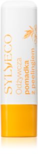 Sylveco Lip Care huulivoide kuoriva vaikutus 4.6 g