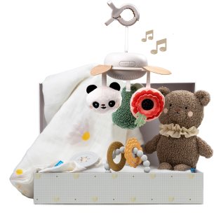 Taf Toys Luxury Newborn Kit Kinkekomplekt beebide jaoks