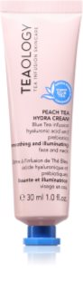Teaology Peach Tea Hydra Cream drėkinamasis kremas veidui ir kaklui 30 ml