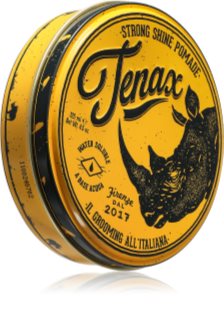 Tenax Strong Hold Pomade pomáda na vlasy pro muže 125 ml