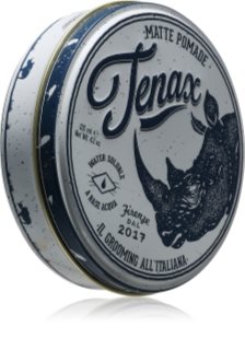 Tenax Matte Pomade Medium Hold Shine Pomade pomáda na vlasy pro muže 125 ml