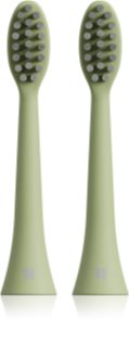 Tesla TS200 Brush Heads cabeça refill 2 un.