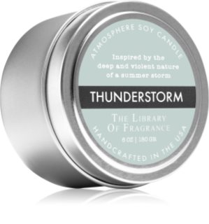 The Library of Fragrance Thunderstorm candela profumata 180 g