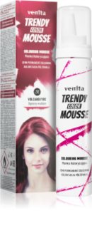 Venita Trendy Color Mousse styling colour mousse ammonia-free