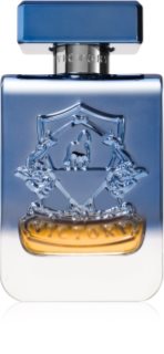Victory Mercury Eau de Parfum unisex 100 ml