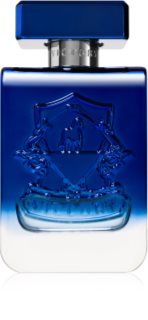 Victory Radiant Eau de Parfum unisex 100 ml