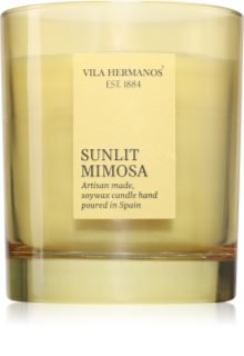 Vila Hermanos Sunlit Mimosa candela profumata