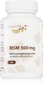 Vita World MSM 500 mg Kapseln 100 KAP