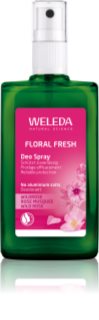 Weleda Rose desodorante 100 ml