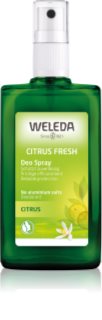 Weleda Citrus deodorant 100 ml