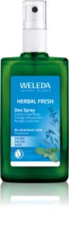 Weleda Sage desodorante
