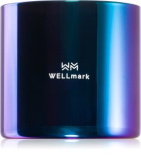 Wellmark Better Silk candela profumata 1 pz