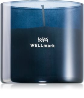 Wellmark Brave Night candela profumata 1 pz