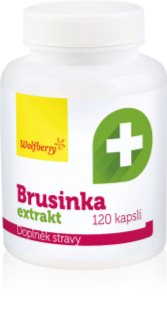 Wolfberry Brusinka extrakt kapsle pro podporu zdraví močových cest 120 cps